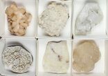 Mixed Indian Mineral & Crystal Flat - Pieces #95610-1